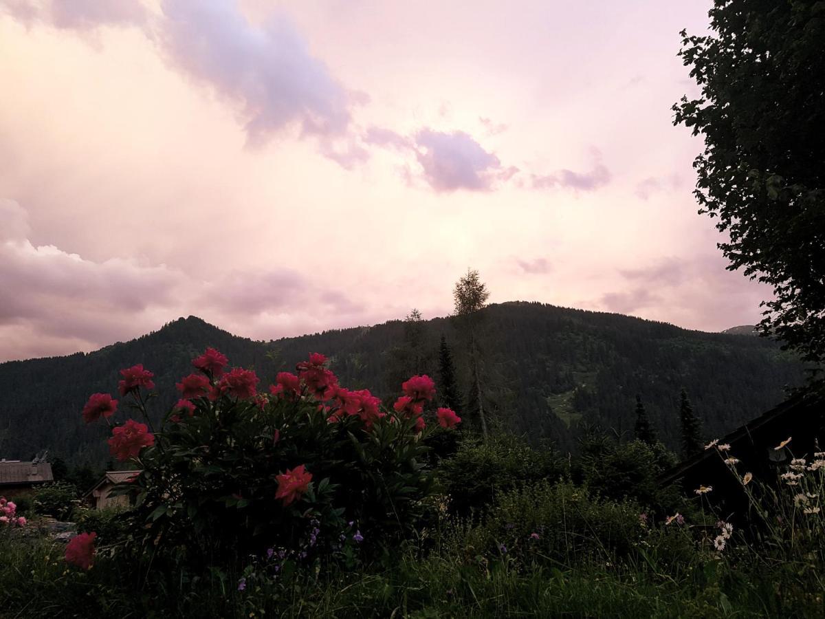 Le Castor Morgins Exterior foto
